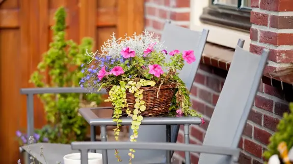 Summer Garden In Full Bloom